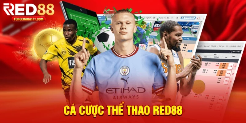 Cá cược thể thao hấp dẫn tại Red88